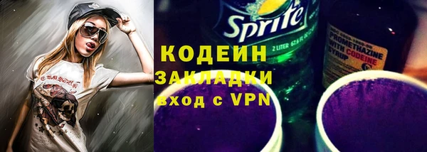 шишки Магас