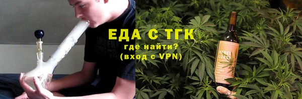 шишки Магас