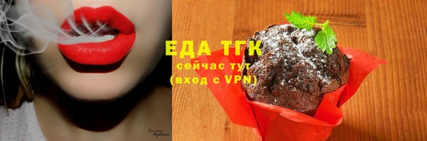 шишки Магас