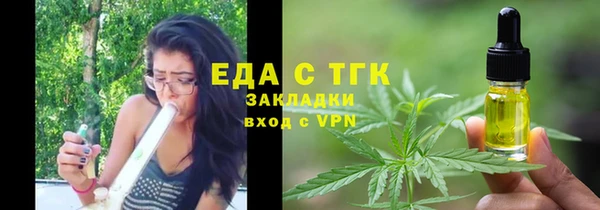 шишки Магас