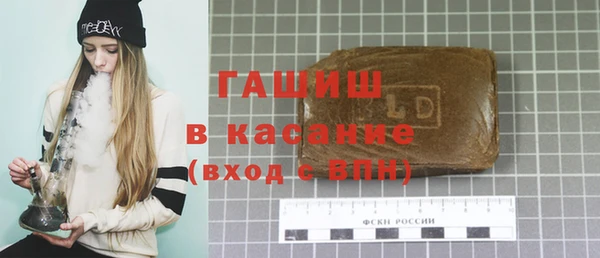 шишки Магас