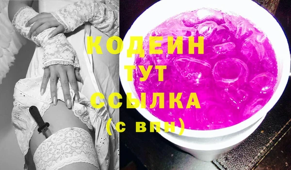 шишки Магас