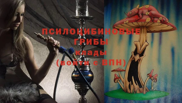 сатива Майский