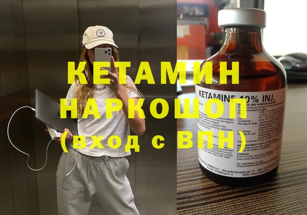 шишки Магас