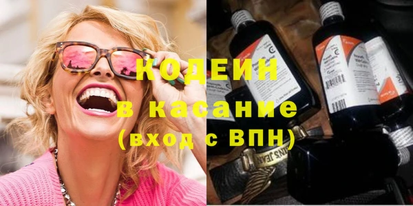 шишки Магас