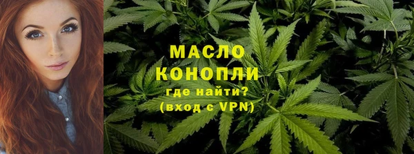 шишки Магас