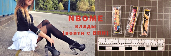 шишки Магас