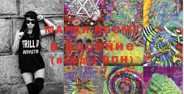 шишки Магас