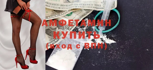 шишки Магас