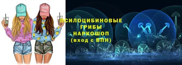 шишки Магас